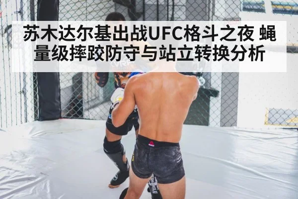 MMA cage grappling