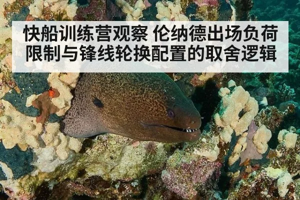 快船训练营观察 伦纳德出场负荷限制与锋线轮换配置的取舍逻辑