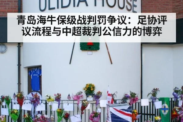 青岛海牛保级战判罚争议:足协评议流程与中超裁判公信力的博弈